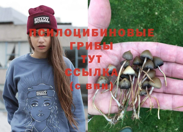 PSILOCYBIN Баксан