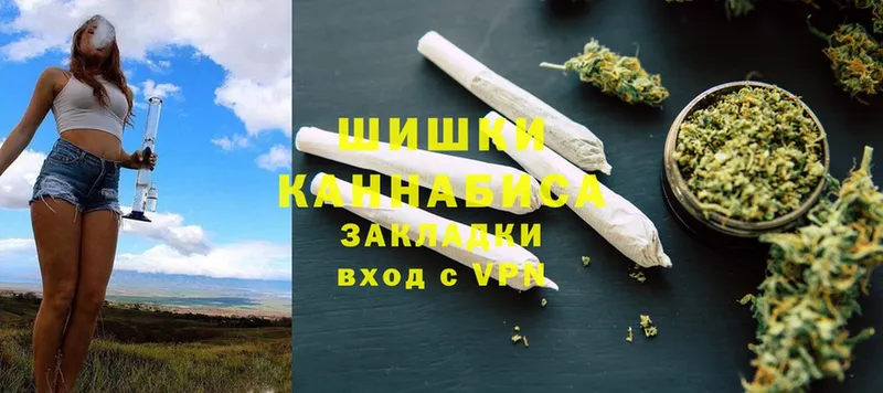 продажа наркотиков  Бежецк  Канабис SATIVA & INDICA 